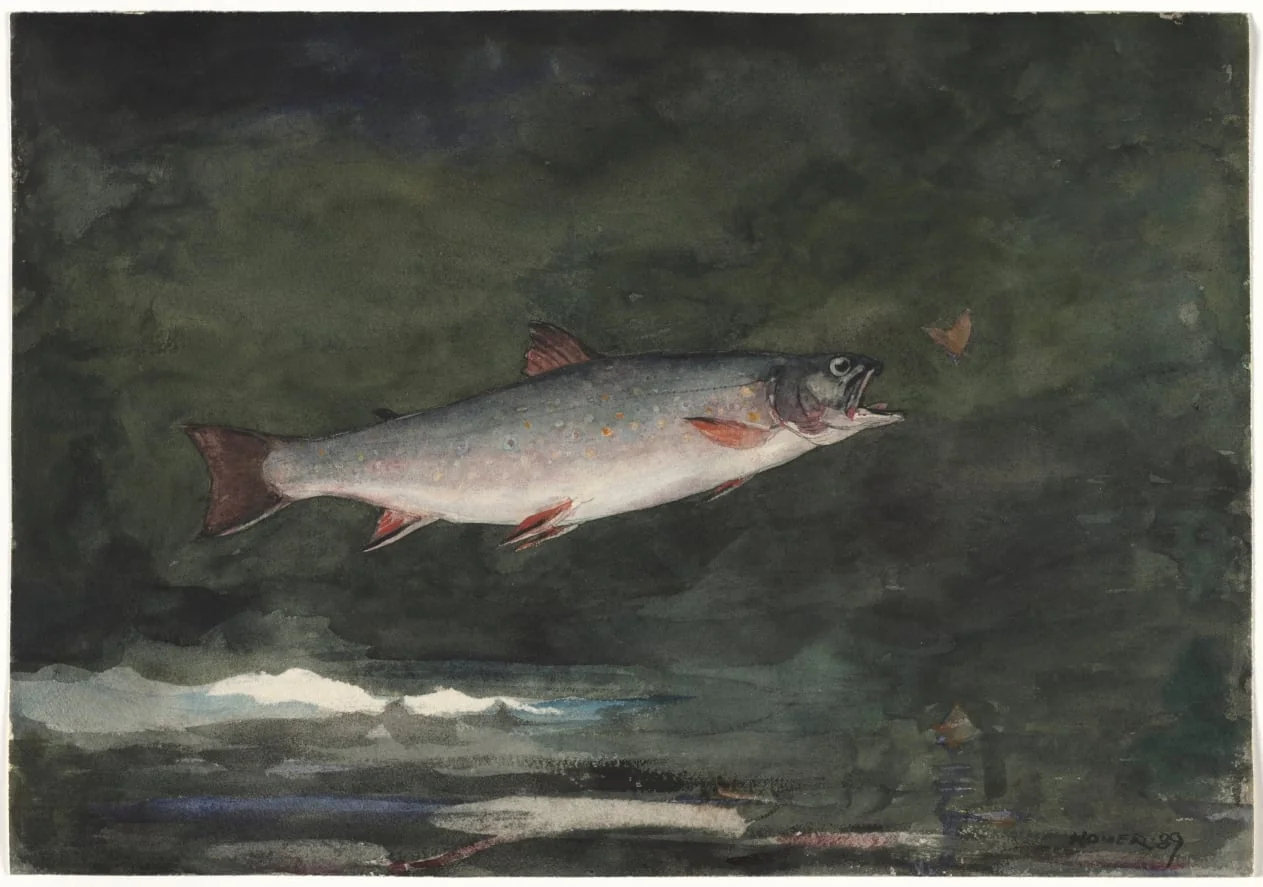 Leaping Trout, by Winslow Homer, 1889