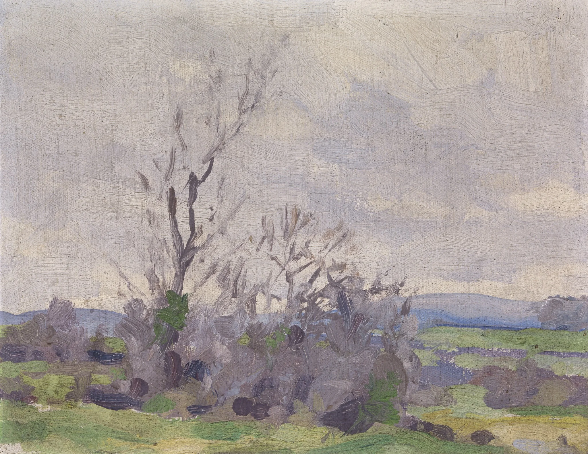 A Landscape