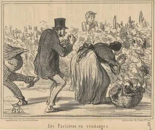 Les parisiens en vendages