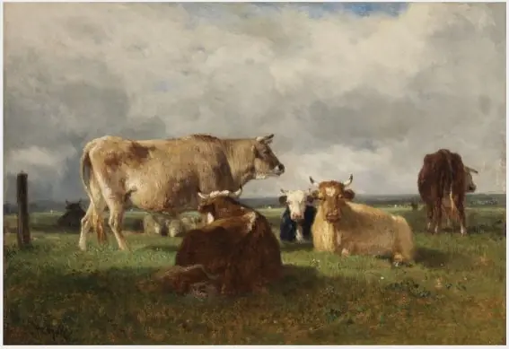 Cattle and Sheep
