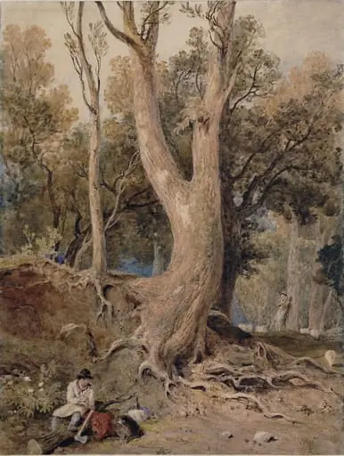Woodland scene: Helmsley, Yorkshire