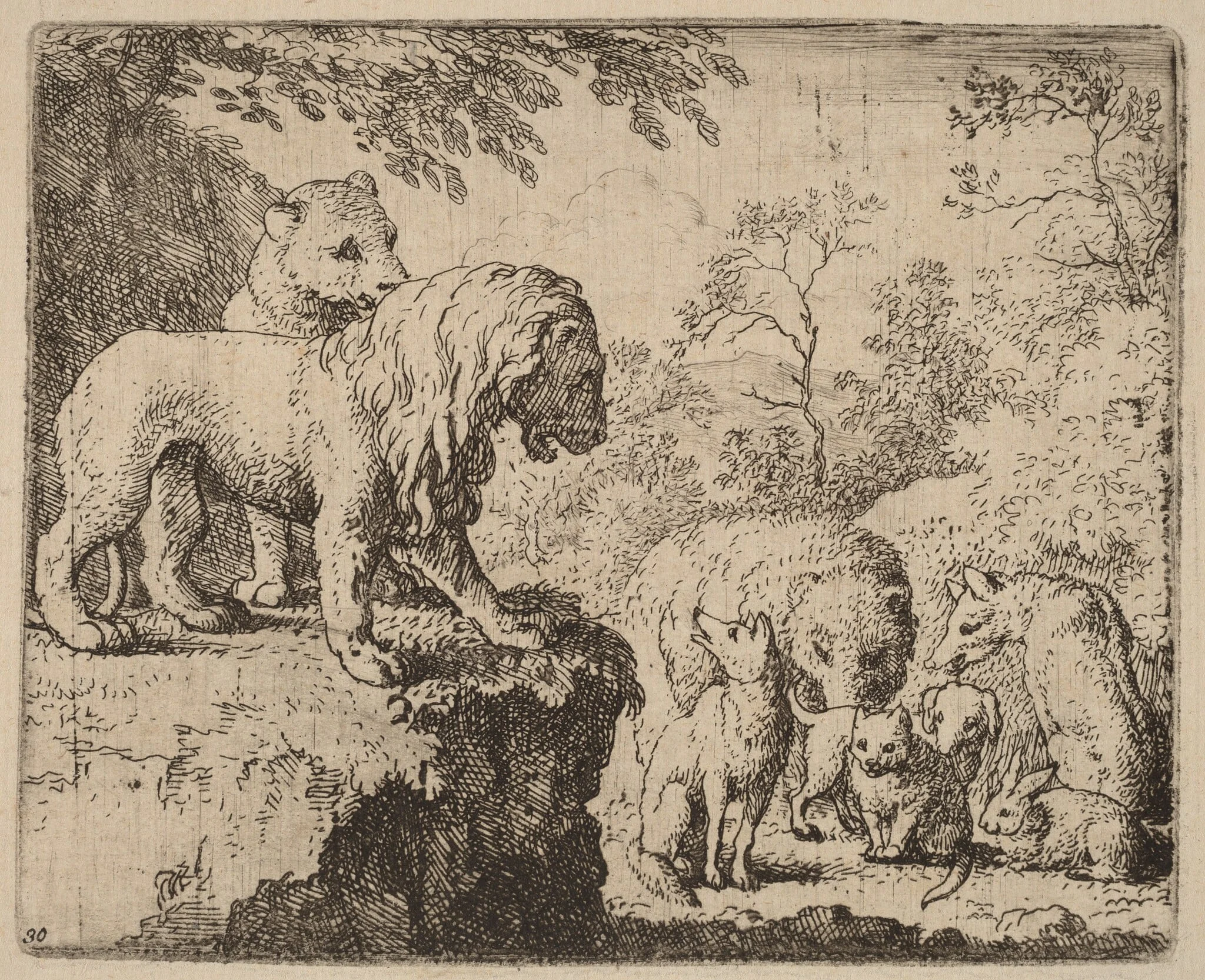 The Lion Pardons Reynard before the Other Animals, by Allart van Everdingen, ink, 1650