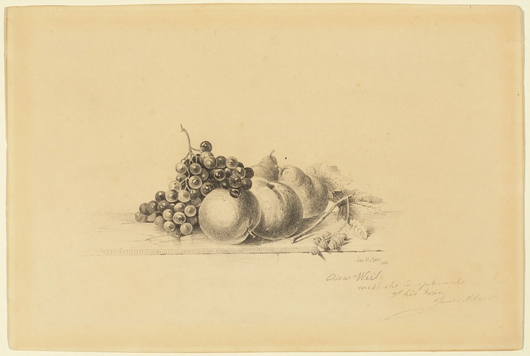 Still Life with Fruit, by James McDougal Hart, graphite, 1856