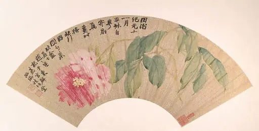 清  趙之謙  芍藥  扇面|Peony