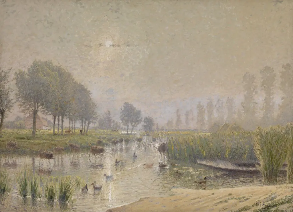 Duck Nests in the Reed