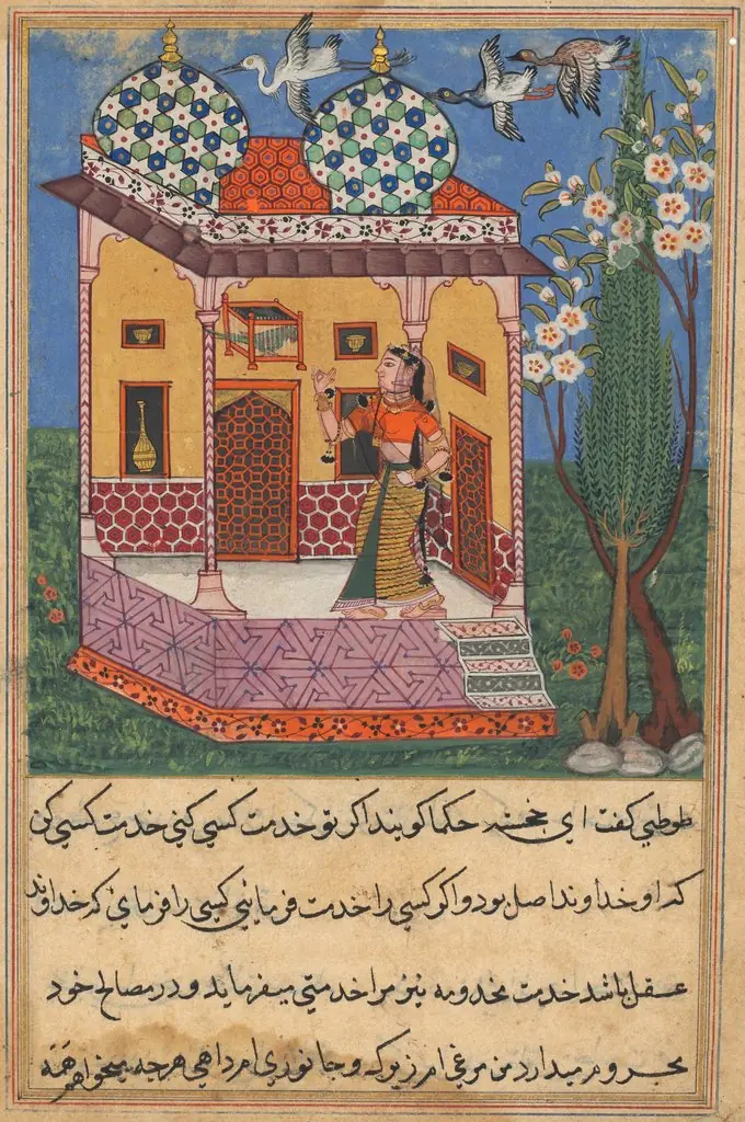 The Parrot Addresses Khujasta at the Beginning of the Twenty-sixth Night, from a Tuti-nama (Tales of a Parrot)