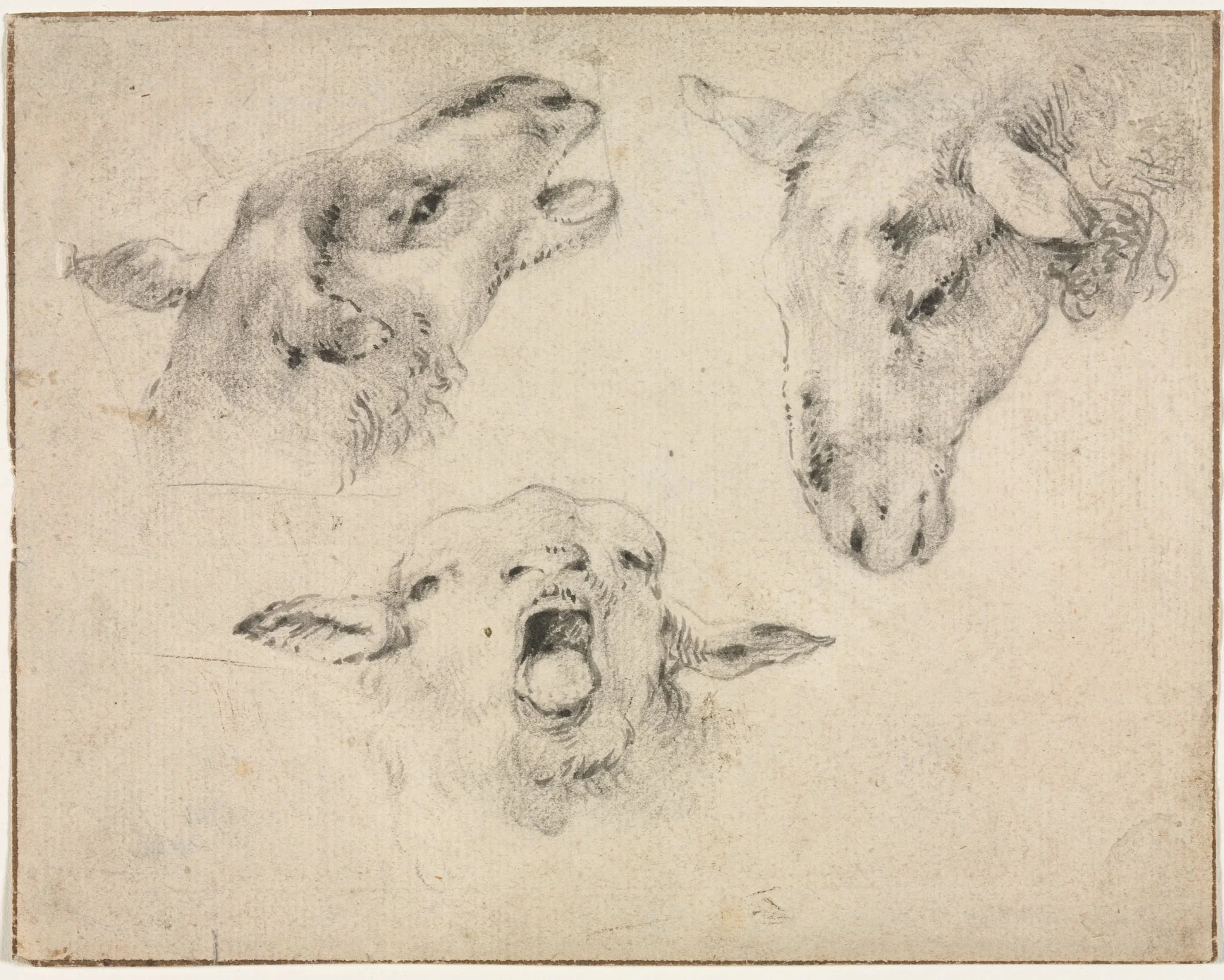 Sheep Heads, by Wouterus Verschuur, 1804
