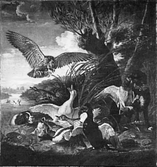 Hunting with the Falcon