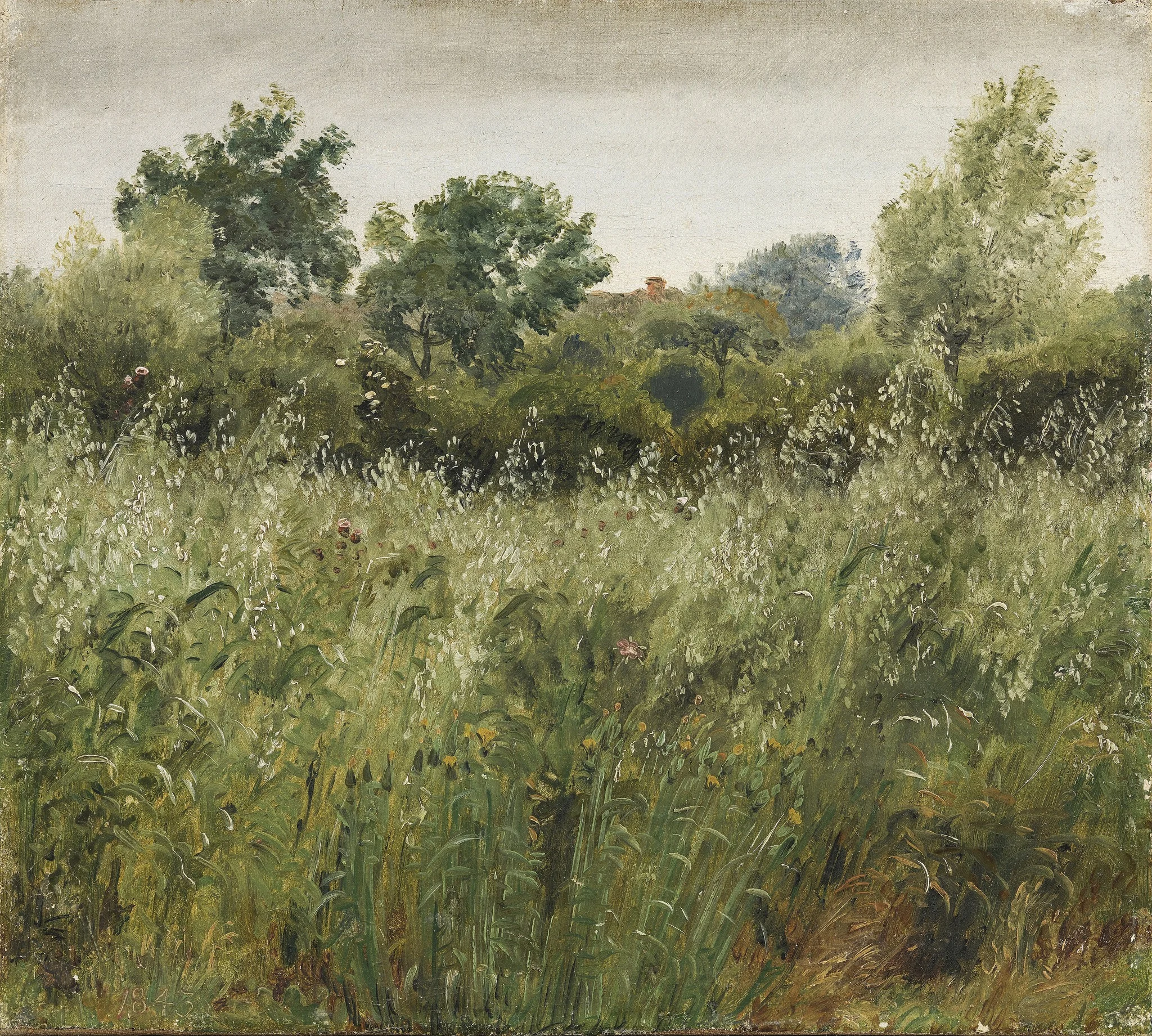 Field of Oats near Vejby