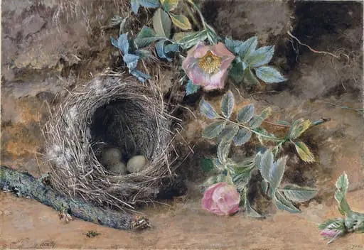 Wild Roses and Bird's Nest