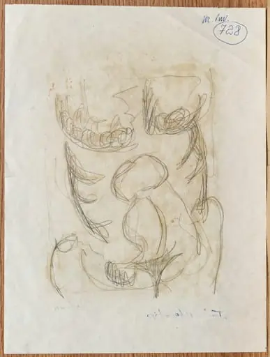 față: Tors