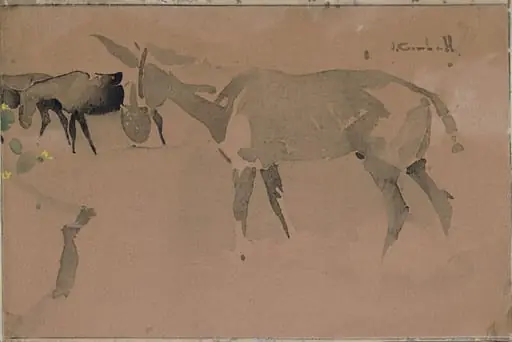 Donkeys