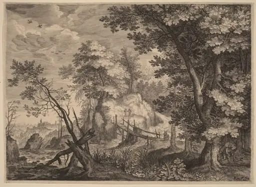 Woodland Scene
