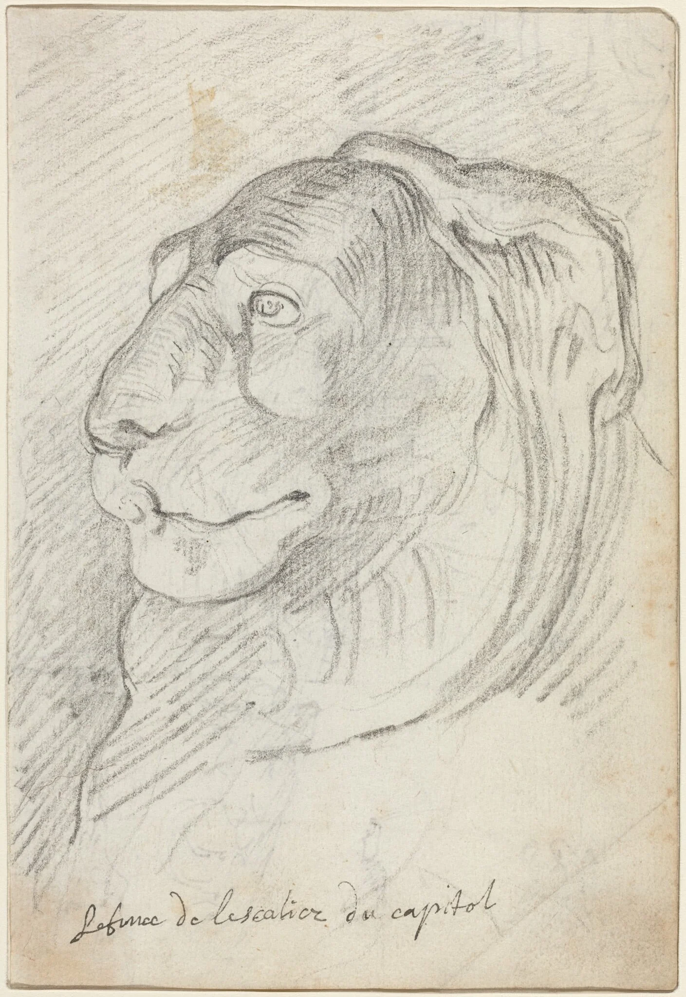 Lion's Head from the Capitoline Staircase