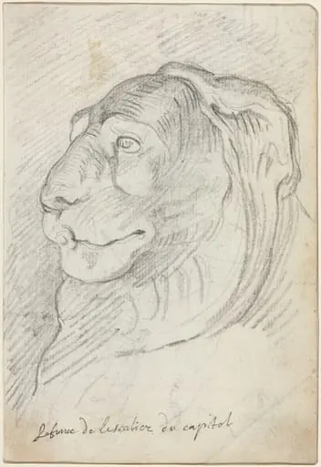Lion's Head from the Capitoline Staircase