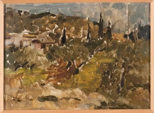 Outdoor study