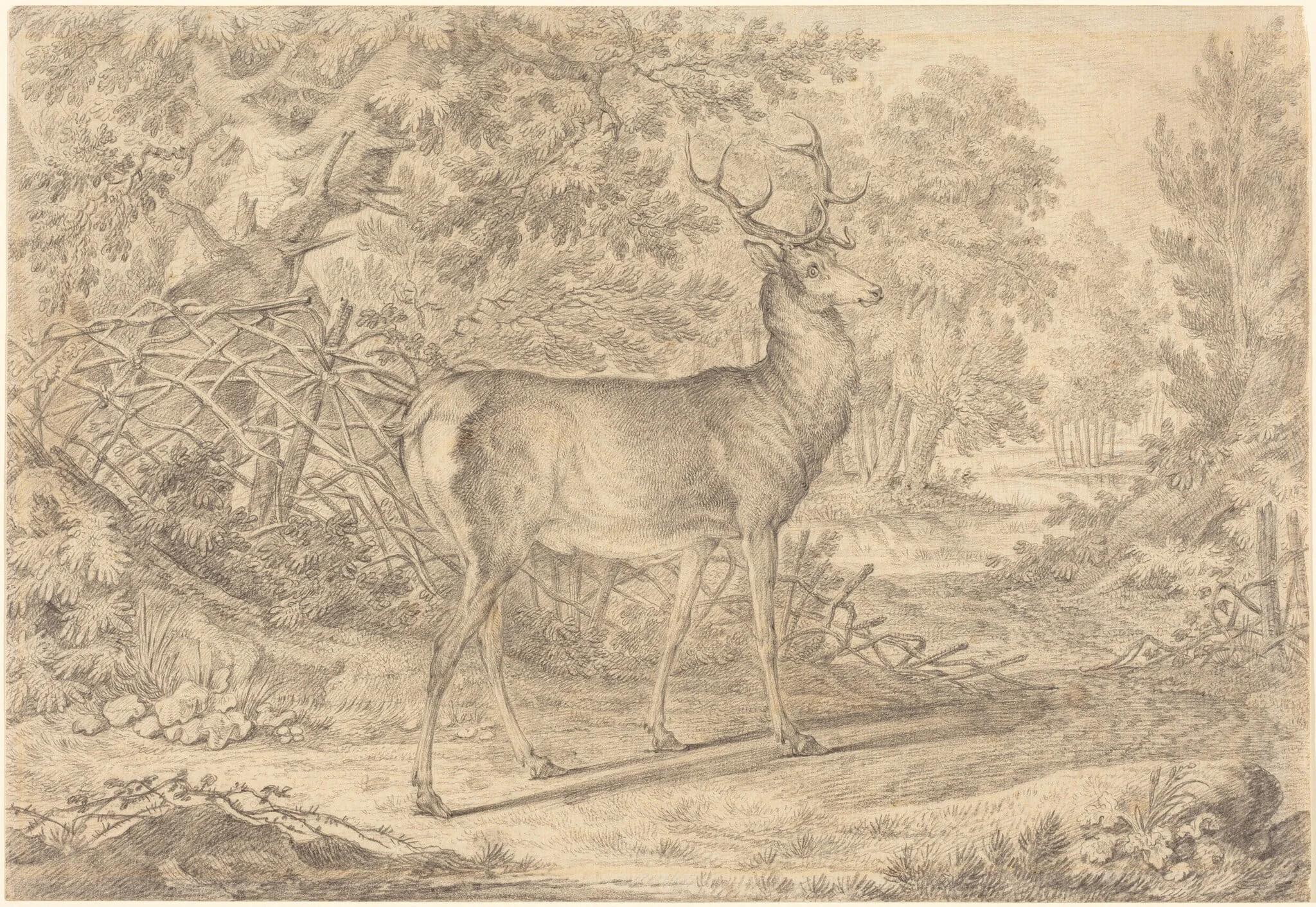 A Splendid Young Stag before a Wattle Fence, by Johann Elias Ridinger, graphite, 1736