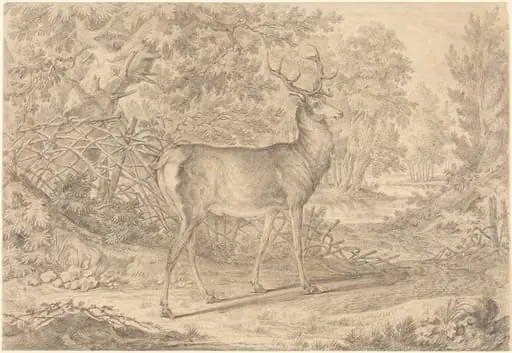 A Splendid Young Stag before a Wattle Fence